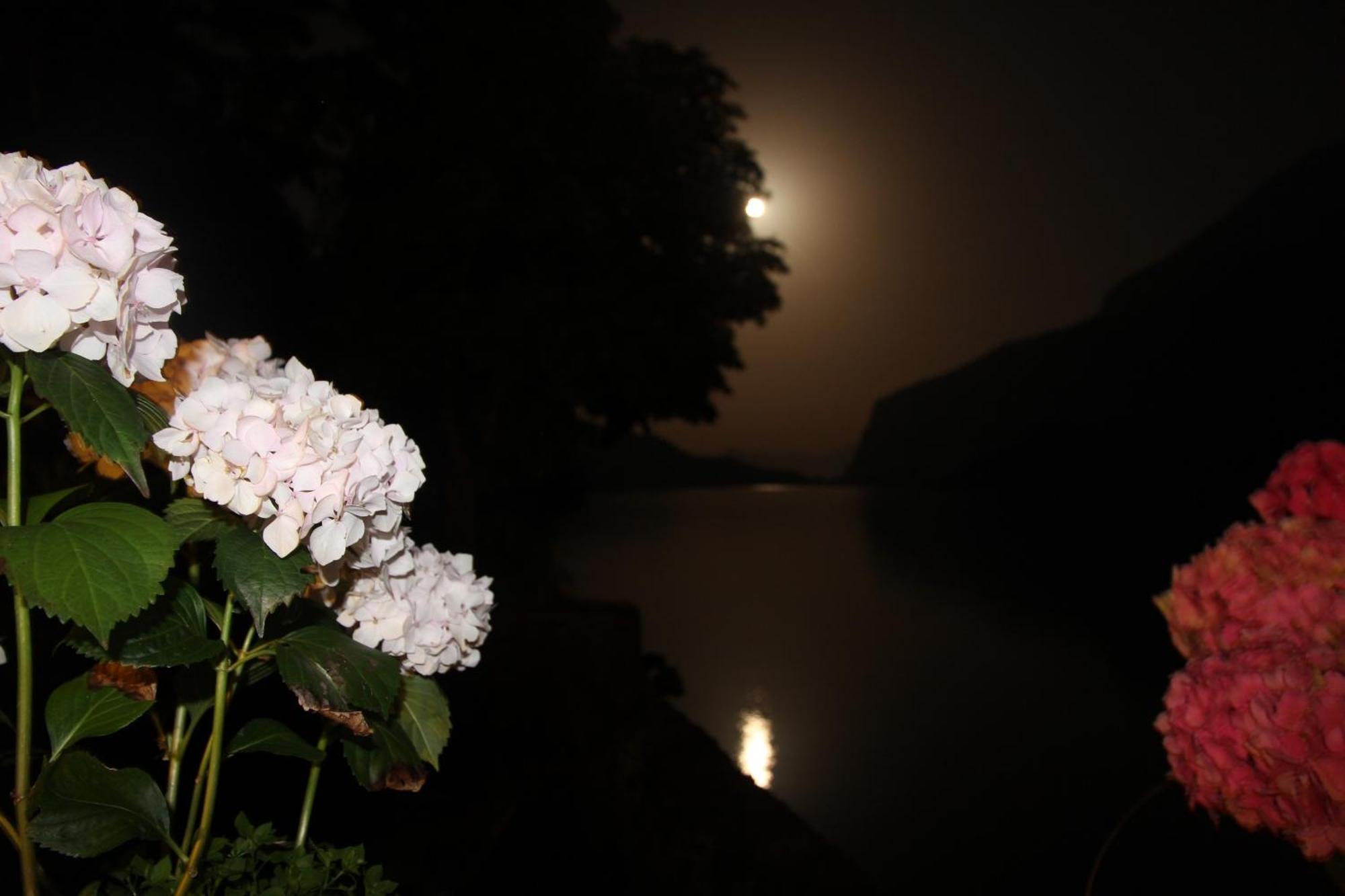 Lago Park Hotel Molveno Luaran gambar